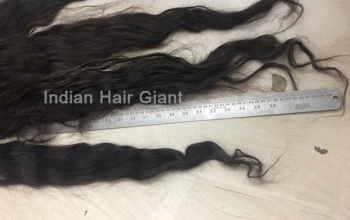 Raw-Indian-hair-wholesale-
